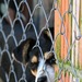 Thumb_img_0242