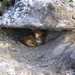 Thumb_dsc03127