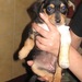 Thumb_img_0169