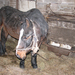 Thumb_img_2247