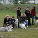 Thumb_po_zaj_ciach