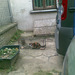 Thumb_lapanka_ochotnicza
