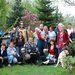 Thumb_labrador_3
