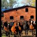 Thumb_124eaa95cd74371fmed