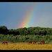 Thumb_8829f898c4720fd0med