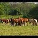 Thumb_eb404d5be9363a44med