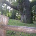 Thumb_bartek_2