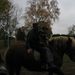 Thumb_mani__wka_2011-6