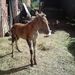 Thumb_dsc00996