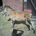 Thumb_dsc01003