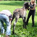 Thumb_dsc00212