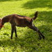 Thumb_dsc00188