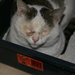 Thumb_dsc04151