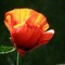 Thumb_p5250108
