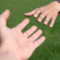 Thumb_sswd