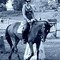 Thumb_dsc02807a