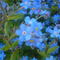 Thumb_dsc00682