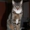 Thumb_img_8651