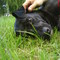 Thumb_dsc05628