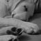 Thumb_dsc00483